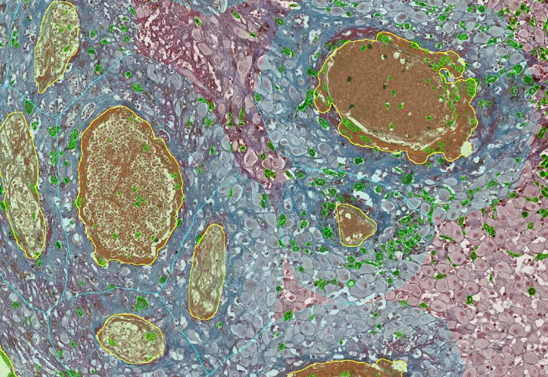 Dynamic Content Image